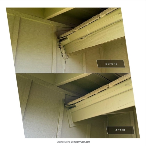 exterior painting in Phoenix